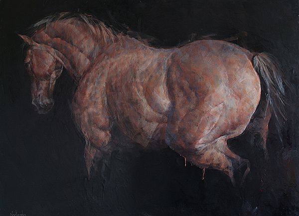 Horse study II by  Unknown